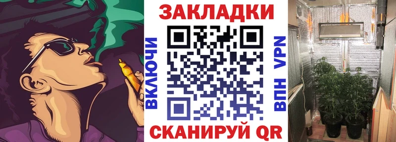 Где купить наркотики Верея Амфетамин  APVP  Псилоцибиновые грибы  Кокаин  Гашиш 