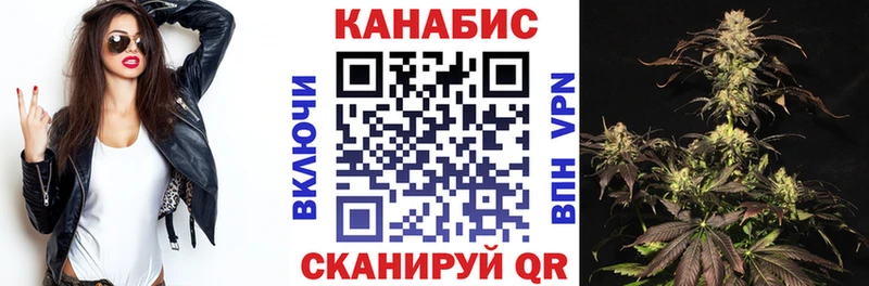 МАРИХУАНА план  как найти закладки  Верея 